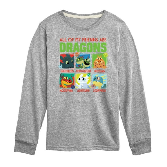 How to Train Your Dragon - All My Friends Are Dragons - Toddler And Youth Long Sleeve Graphic T-Shirt