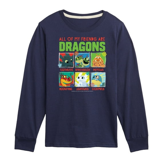How to Train Your Dragon - All My Friends Are Dragons - Toddler & Youth Long Sleeve Graphic T-Shirt
