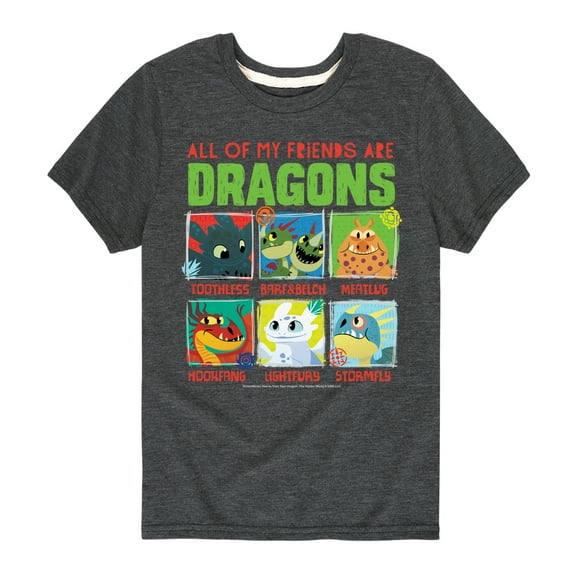 How to Train Your Dragon - All My Friends Are Dragons - Toddler And Youth Short Sleeve Graphic T-Shirt