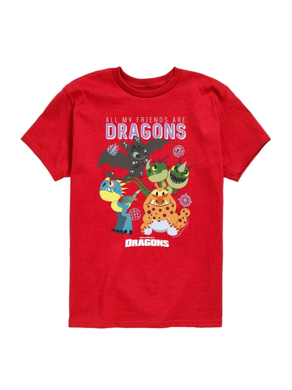 - All My Friends Are Dragons Boys' Short Sleeve Graphic T-Shirt