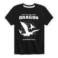 thumbnail image 1 of How to Train Your Dragon - Dragon Silho - Toddler & Youth Short Sleeve Graphic T-Shirt, 1 of 4