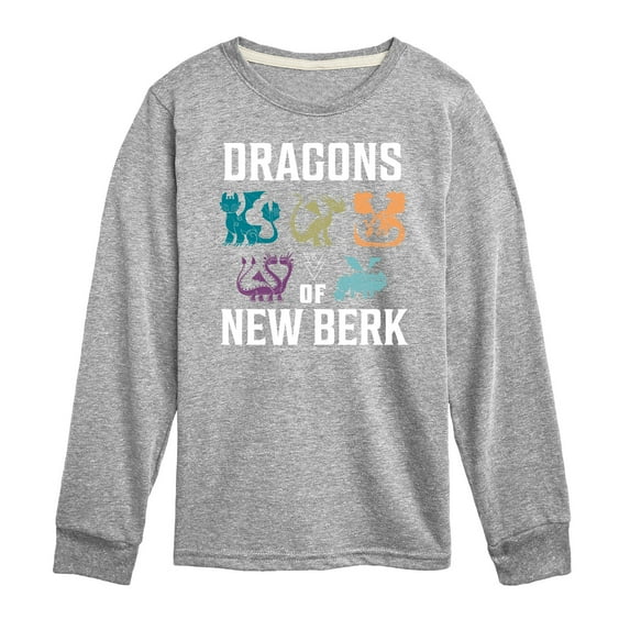How to Train Your Dragon - Dragons Of New Berk - Toddler And Youth Long Sleeve Graphic T-Shirt
