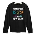 thumbnail image 1 of How to Train Your Dragon - Dragons Of New Berk - Toddler & Youth Long Sleeve Graphic T-Shirt, 1 of 5
