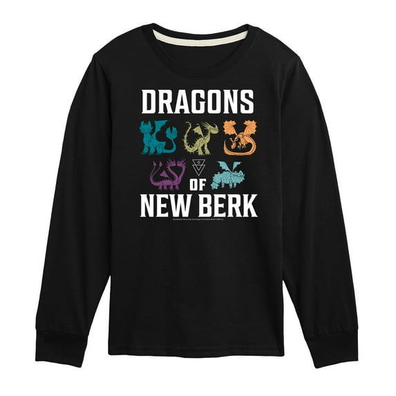 How to Train Your Dragon - Dragons Of New Berk - Toddler & Youth Long Sleeve Graphic T-Shirt