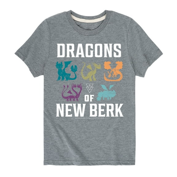 How to Train Your Dragon - Dragons Of New Berk  - Toddler And Youth Short Sleeve Graphic T-Shirt