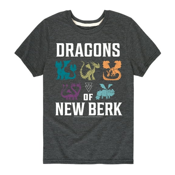 How to Train Your Dragon - Dragons Of New Berk  - Toddler And Youth Short Sleeve Graphic T-Shirt