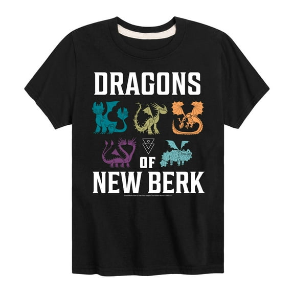 How to Train Your Dragon - Dragons Of New Berk - Toddler & Youth Short Sleeve Graphic T-Shirt