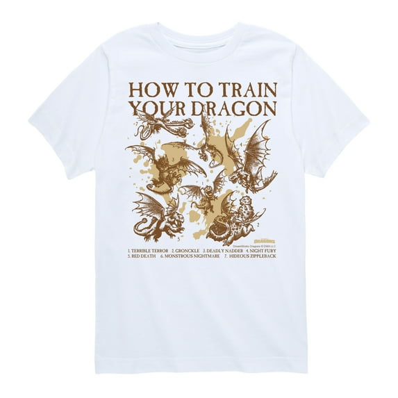 How to Train Your Dragon - Field Guide - Youth Boys Short Sleeve Graphic T-Shirt