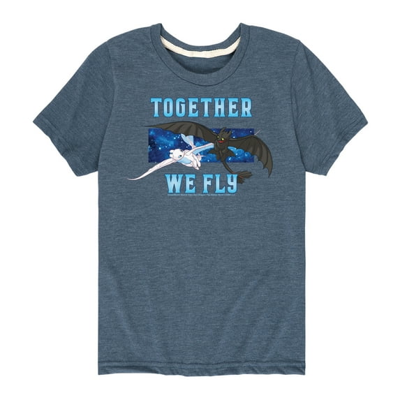 How to Train Your Dragon - Together We Fly - Toddler And Youth Short Sleeve Graphic T-Shirt