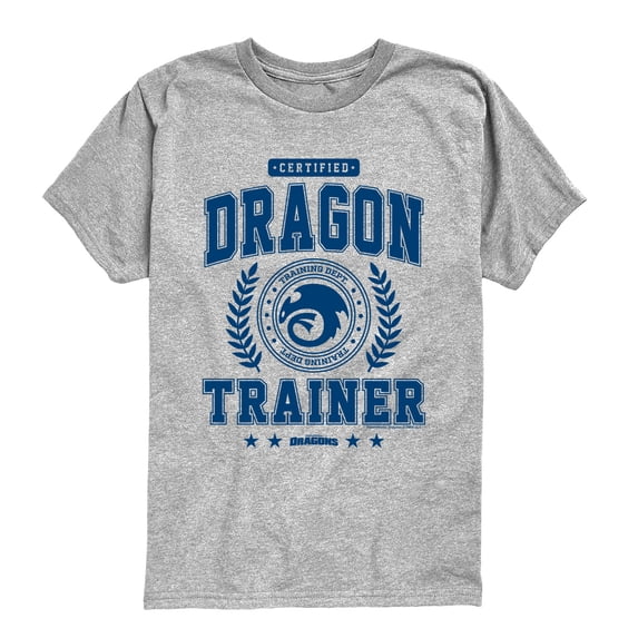 How to Train Your Dragon - Toothless Collegiate - Youth Boys Short Sleeve Graphic T-Shirt