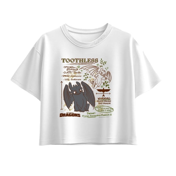 How to Train Your Dragon - Toothless Field Guide Girls' Short Sleeve Boxy Graphic T-Shirt