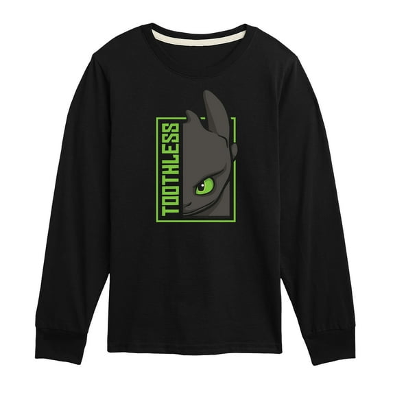How to Train Your Dragon - Toothless - Toddler And Youth Long Sleeve Graphic T-Shirt