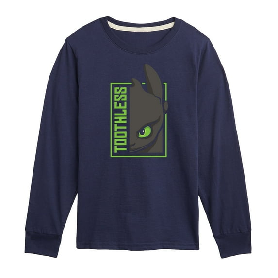 How to Train Your Dragon - Toothless - Toddler & Youth Long Sleeve Graphic T-Shirt