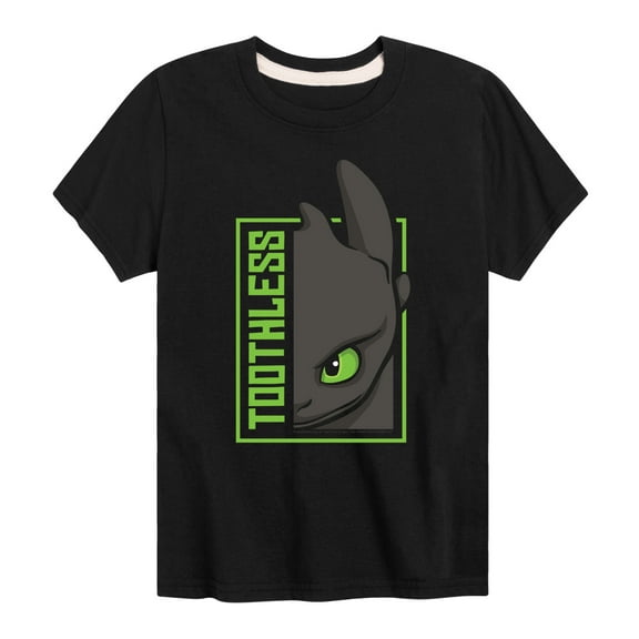 How to Train Your Dragon - Toothless - Toddler & Youth Short Sleeve Graphic T-Shirt