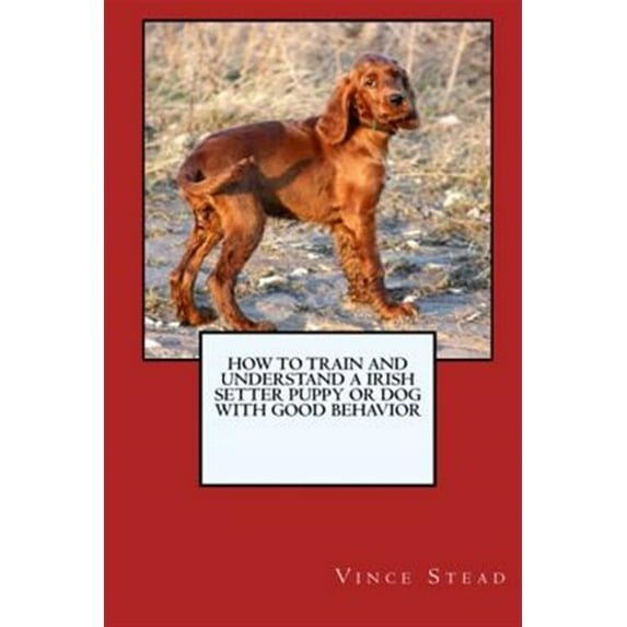 How to Train and Raise a Irish Setter Puppy or Dog with Good Behavior (Paperback) by Vince Stead