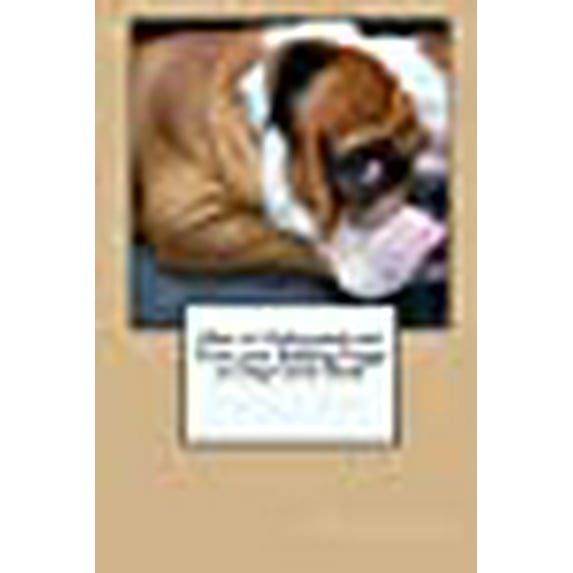How to Understand and Train your Bulldog Puppy or Dog Guide Book (Paperback)