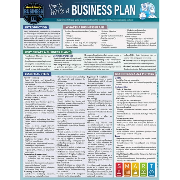 How to Write a Business Plan : a QuickStudy Laminated Reference Guide (Edition 2) (Other)