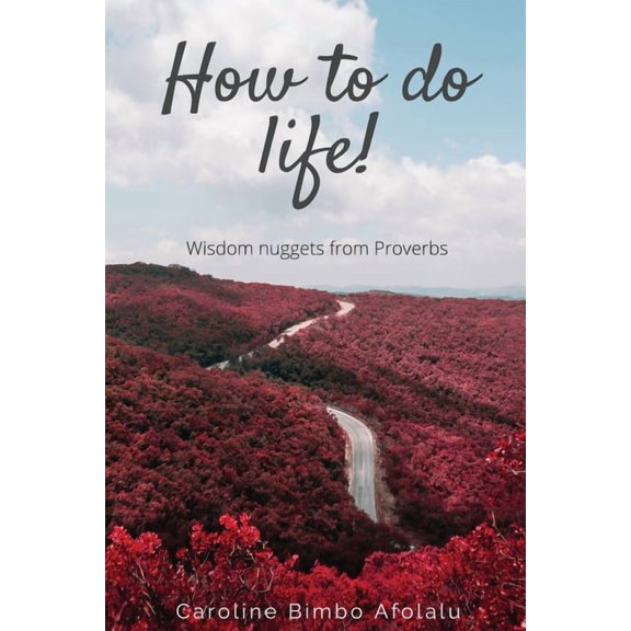 How to do life : Wisdom Nuggets From Proverbs (Paperback)