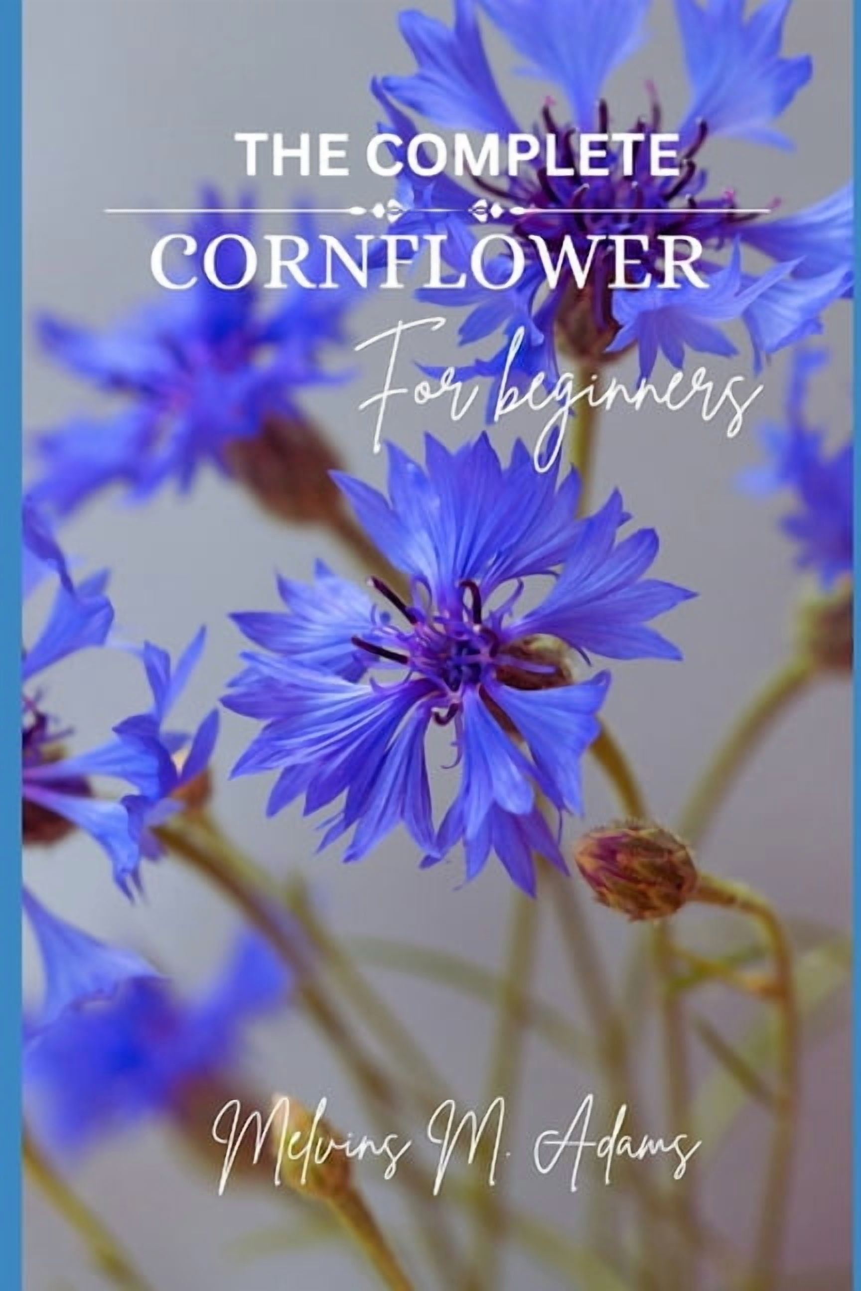 How to grow Cornflower for beginners: The Ultimate Beginner's Guide to Growing, Caring for, and Harvesting Conflowers at, (Paperback)