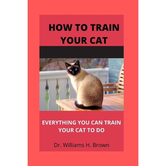 How to train your cat: Everything you can train your cat to do