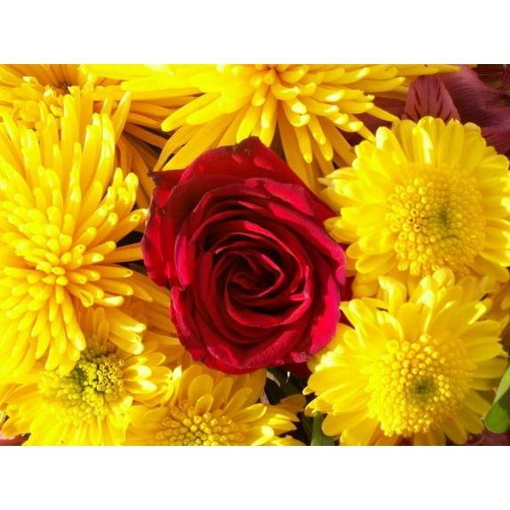 Howard "Acceptance" Glossy Poster