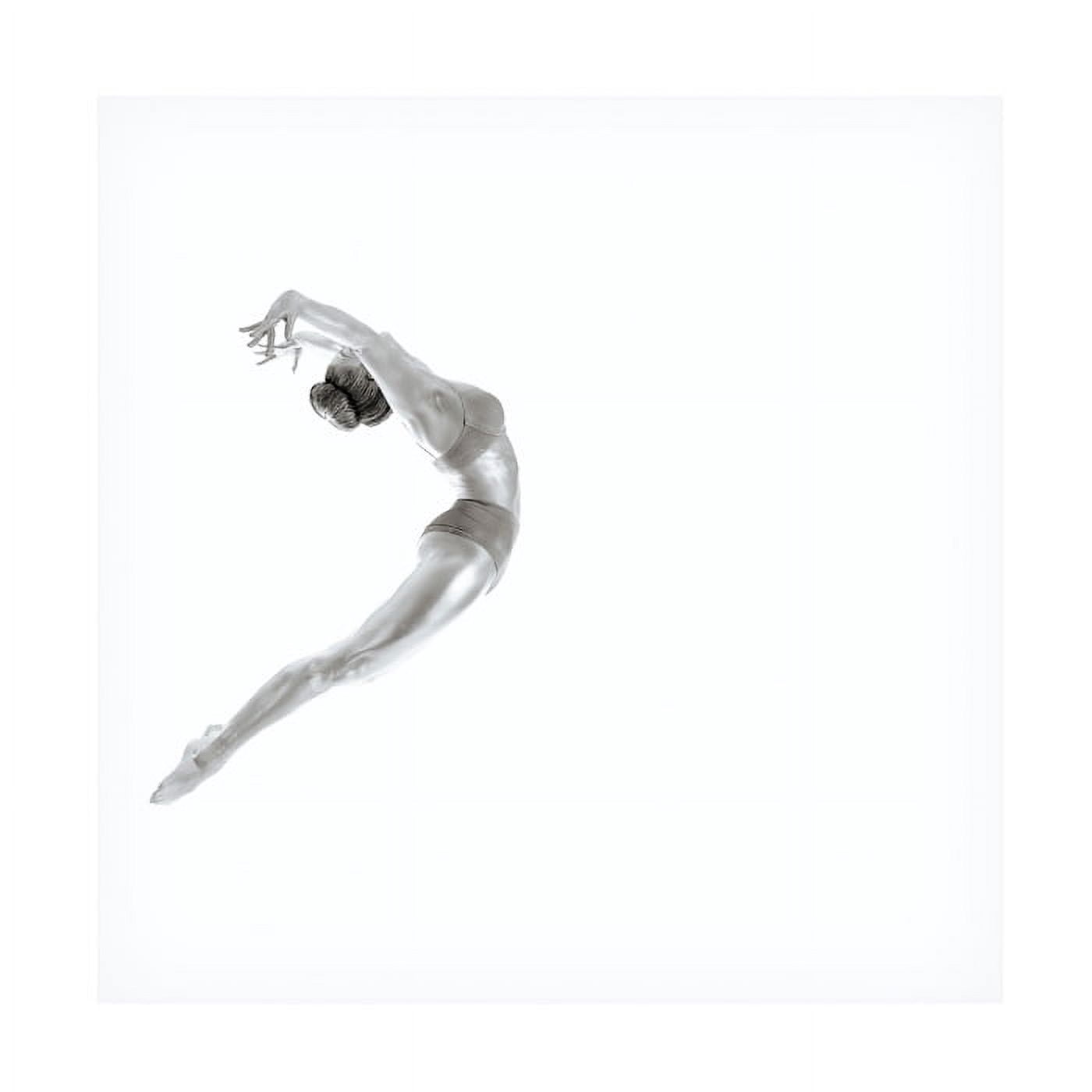 Howard Ashton Jones 'Flight Gymnastics Series' Canvas Art