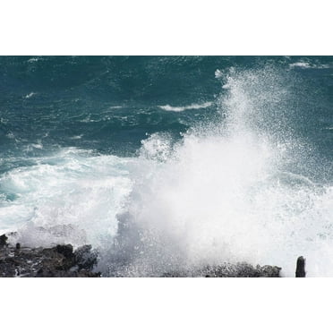Howard Blowhole I Glossy Poster
