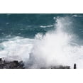 thumbnail image 1 of Howard Blowhole I Wall Decal, 1 of 2