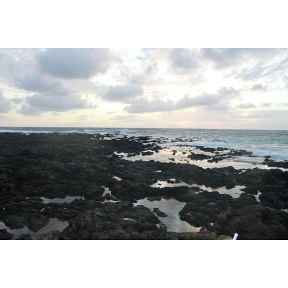 Howard "Endless" Glossy Poster