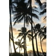 thumbnail image 1 of Howard Palm Sunset Wall Decal, 1 of 2