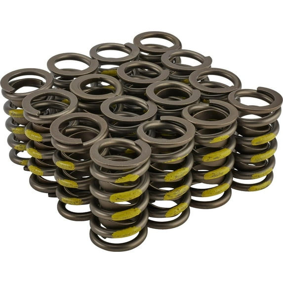 Howards Cams 98213RS Performance Valve Springs, Racesaver