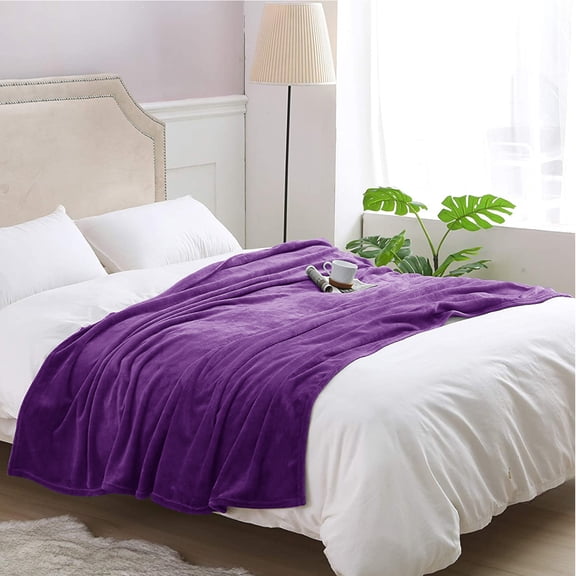 Howarmer Purple Fuzzy Bed Blanket, Throw Twin Soft Flannel Fleece Blankets, All Season Lightweight Warm Bed Throws, 60 x 80 Inch