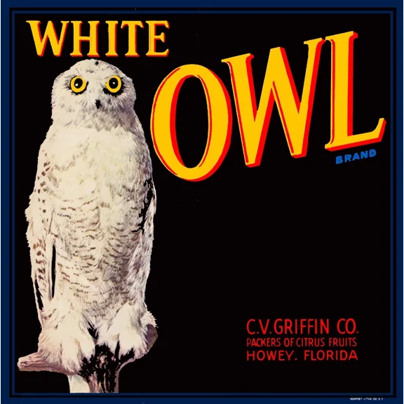 Howey Florida White Owl Brand Bird Orange Citrus Fruit Art Print Home Decor Office Wall Art
