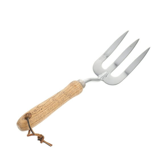 Howish hand tool Gardening Hand Forks Planting Weeder Fork for Flower Vegetable Weeding(12.2"X2.95"X1.97")
