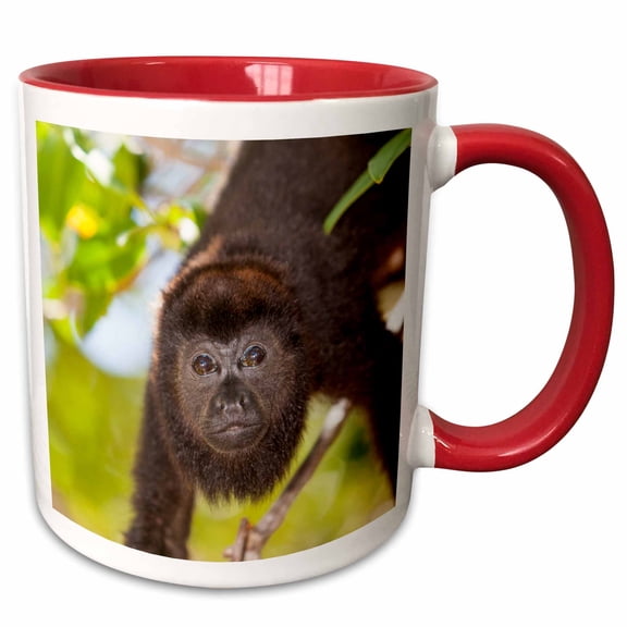 3drose, Howler Monkey, Rehab Center and Forest Preserve on Mango Key, Roatan, 11oz Two-tone Red Mug