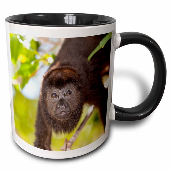 3drose, Howler Monkey, Rehab Center and Forest Preserve on Mango Key, Roatan, 15oz Two-tone Black Mug