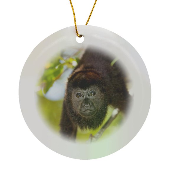 3drose, Howler Monkey, Rehab Center and Forest Preserve on Mango Key, Roatan, Circle Porcelain Ornament