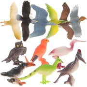 Howooi 12PCS/Set Simulation Wildlife Model Lifelike Bird Figurine Desktop Adornment Educational Toy