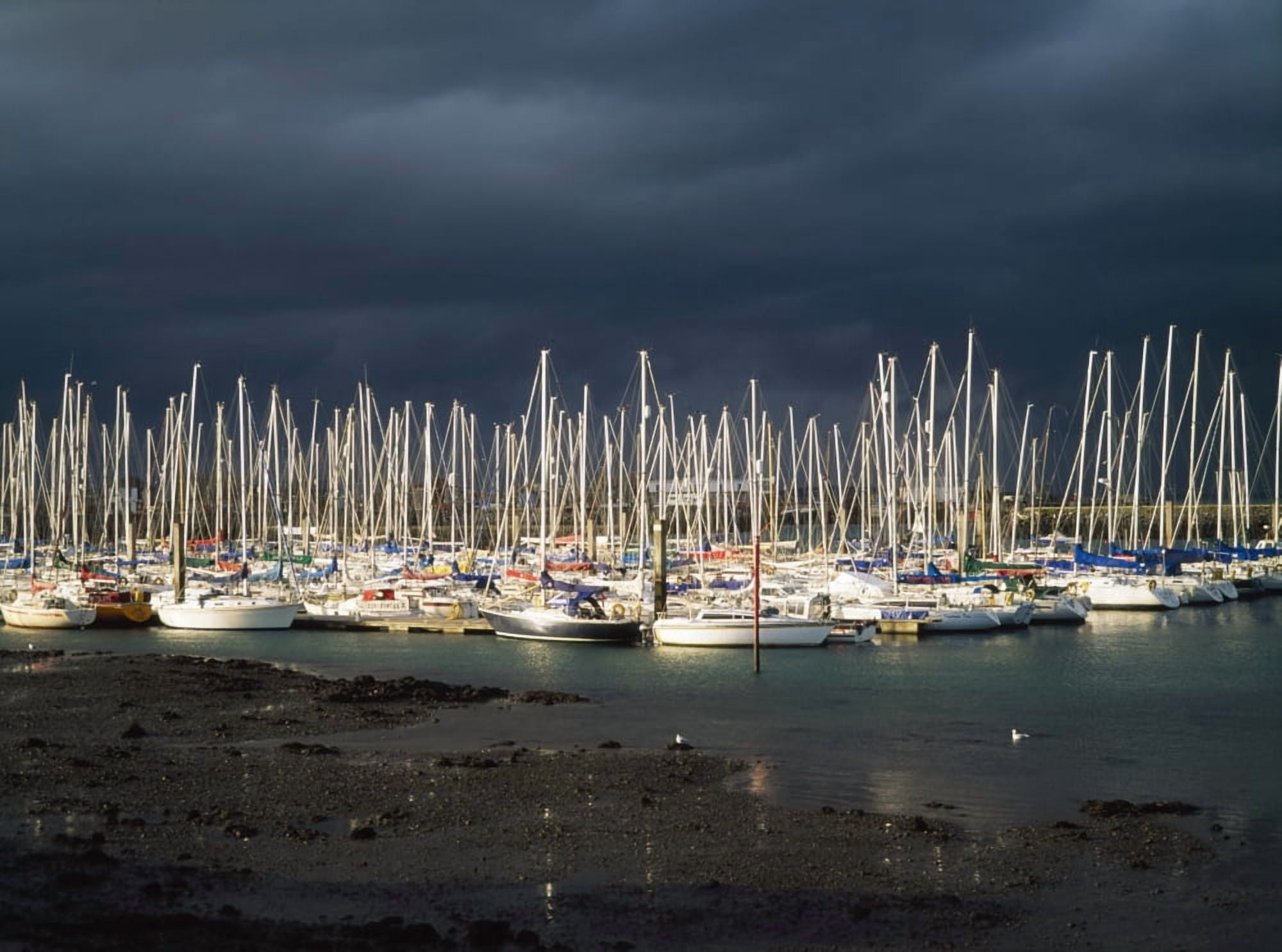 Howth Yacht Club Marina Co Dublin Ireland Canvas Art - The Irish Image Collection Design Pics (34 x 26)