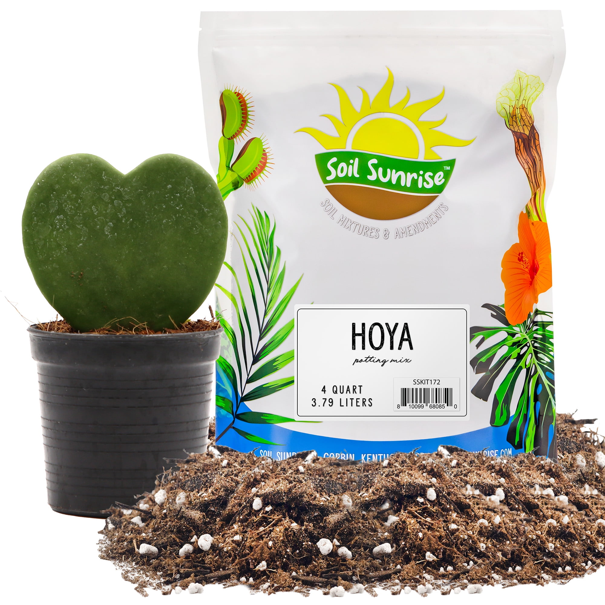 Hoya Plant Potting Soil Mix (4 Quarts), Custom Blend for Growing Hoya