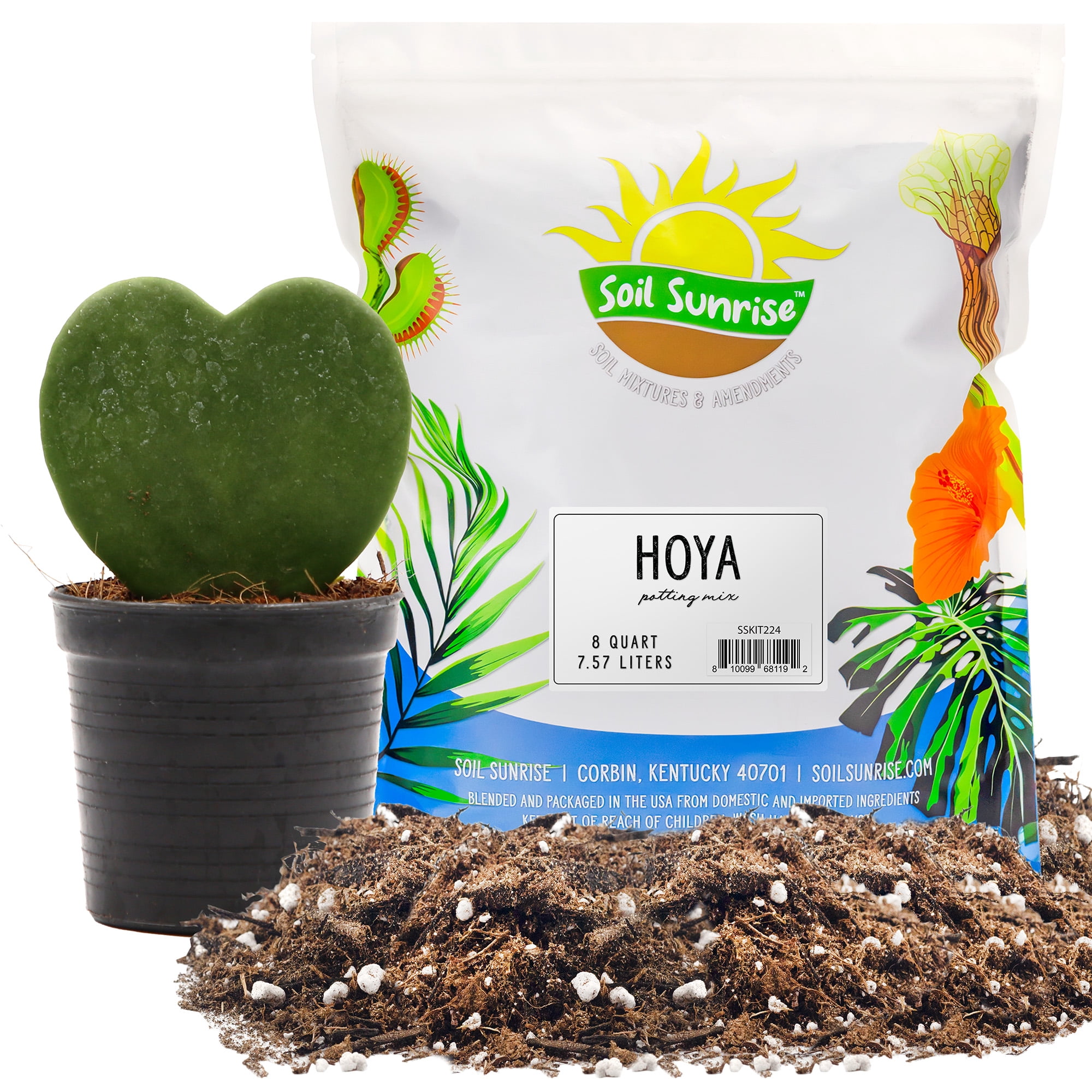 Hoya Plant Potting Soil Mix (8 Quarts), Custom Blend for Growing Hoya ...