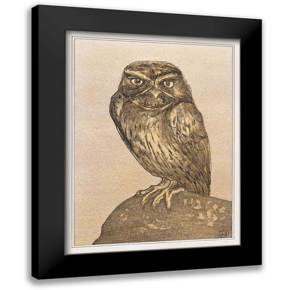 Hoytema, Theo van 12x14 Black Modern Framed Museum Art Print Titled - Little owl on rock