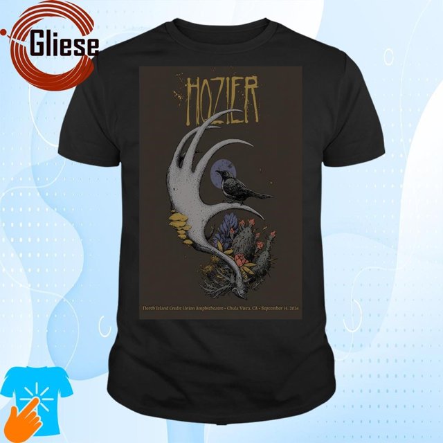 Hozier At North Island Credit Union Amphitheatre In Chula Vista Ca On