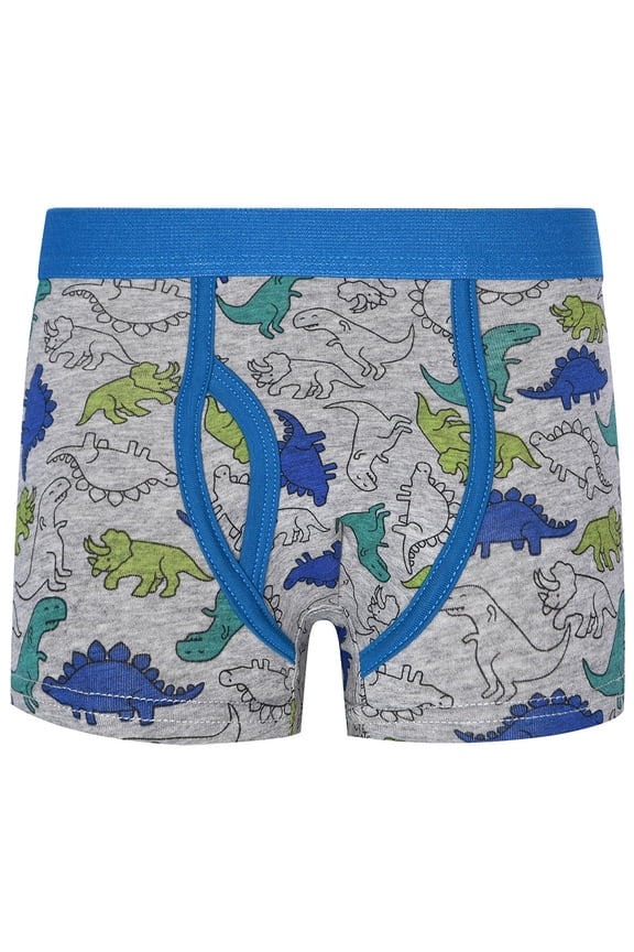 Boys Underwear Kids Boy Cartoon Animals Cars Print Soft Breathable Boxer Underpants Light Blue 10 year-12 year