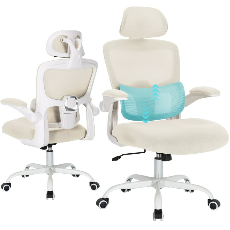 Hramk Ergonomic Mesh Office Desk Chair with Flip up Armrests