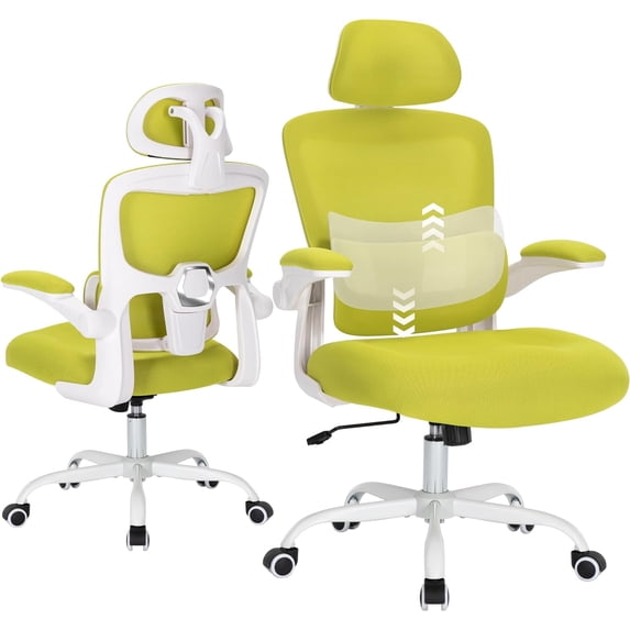 Hramk Ergonomic Mesh Office Desk Chair with Flip up Armrests, Adjustable Lumbar Support, Green
