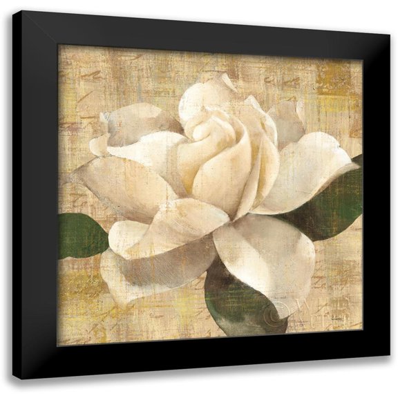 Hristova, Albena 12x12 Black Modern Framed Museum Art Print Titled - Gardenia Blossom on Script