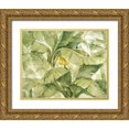 thumbnail image 1 of Hristova, Albena 14x12 Gold Ornate Wood Framed with Double Matting Museum Art Print Titled - Tropical Canopy II Green, 1 of 4