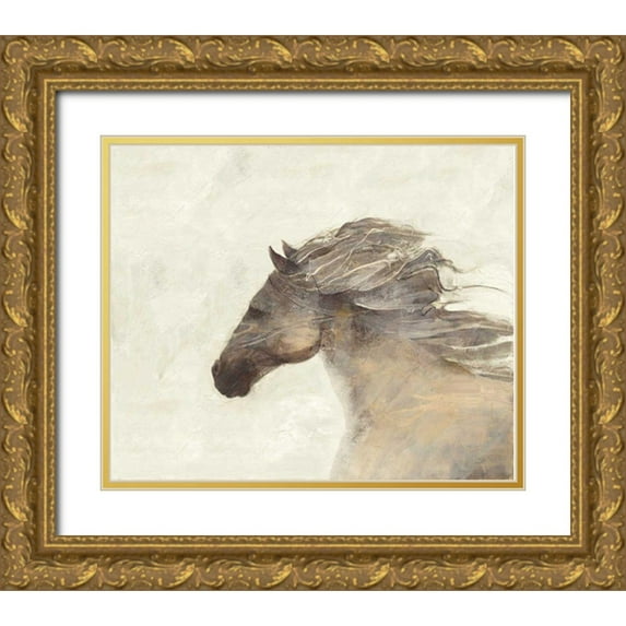 Hristova, Albena 17x15 Gold Ornate Wood Framed with Double Matting Museum Art Print Titled - Into the Wind Ivory
