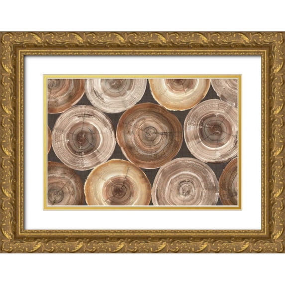 Hristova, Albena 18x13 Gold Ornate Wood Framed with Double Matting Museum Art Print Titled - Rings of Life I